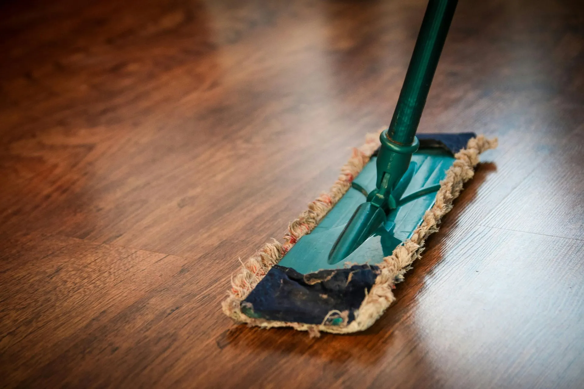Green mop on a hardwood floor, cleaning up a spill